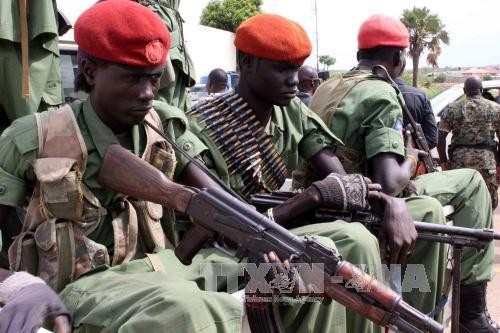 Weltsicherheitsrat ruft die Nachbarländer Südsudans auf, sich für den Stopp der Gefechte in Juba - ảnh 1