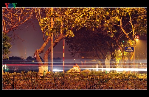 Die Schönheit der Kaiserstadt Hue in der Nacht - ảnh 13