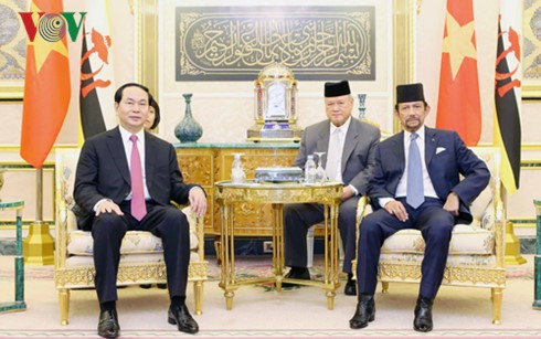 Staatspräsident Tran Dai Quang führt Gespräch mit dem König Bruneis - ảnh 1