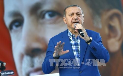 Türkischer Präsident: Schwankungen im Kabinett sind möglich - ảnh 1
