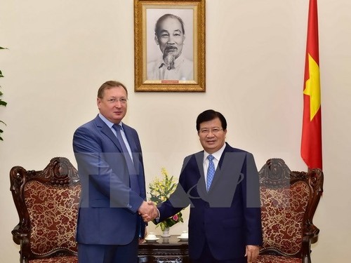 Vizepremierminister Trinh Dinh Dung trifft Generaldirektor des russischen Erdölkonzerns Zarubezhneft - ảnh 1