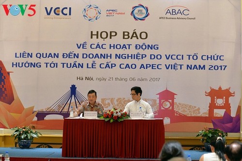 APEC 2017 wird der vietnamesischen Wirtschaft einen großen Mehrwert bringen - ảnh 1
