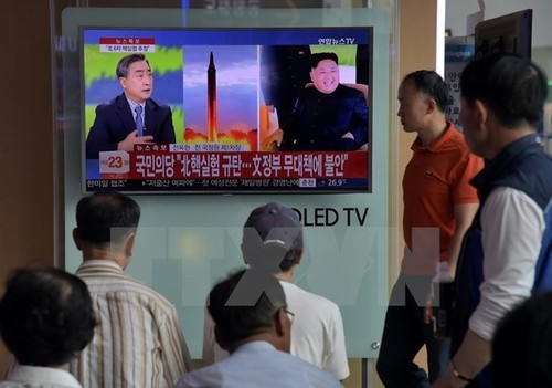 Die internationale Gemeinschaft protestiert gegen den Test der H-Bombe durch Nordkorea - ảnh 1