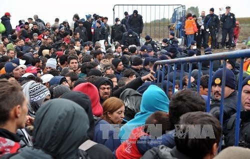 Europa gespaltet wegen Flüchtlingsquote - ảnh 1