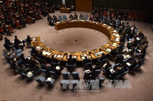 UNO fordert die Parteien in Libyen zum Gewalt-Stopp auf - ảnh 1