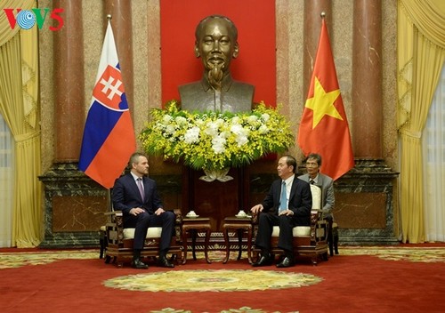 Staatspräsident Tran Dai Quang empfängt den slowakischen Vize-Premierminister in Hanoi - ảnh 1