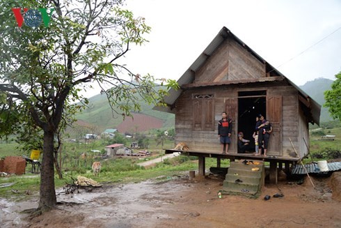 Rückkehr in die vom Taifun besuchte Gemeinde Yang Mao - ảnh 1