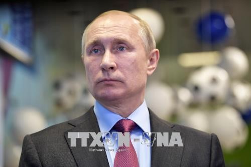 Wladmir Putin: Rakete, die Flug MH17 erschossen hat, gehört Russland nicht - ảnh 1