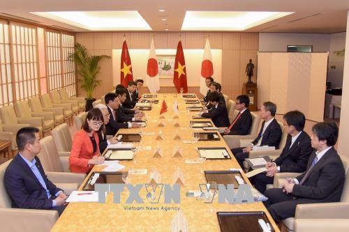 Vize-Premierminister Pham Binh Minh führt ein Gespräch mit dem japanischen Außenminister - ảnh 1