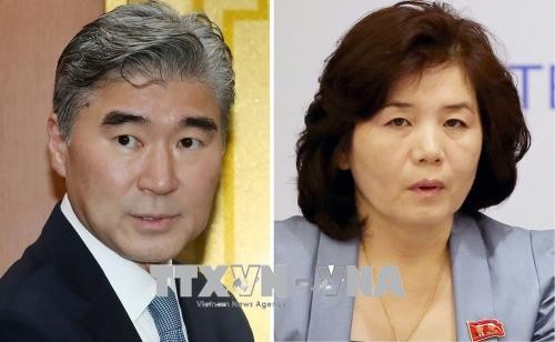 Beamte der USA und Nordkoreas führen die 5. Verhandlungsrunde in Panmunjom - ảnh 1