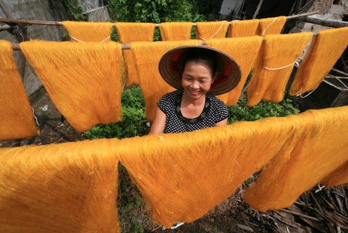 Die Schönheit bei der Arbeit der vietnamesischen Frauen - ảnh 4