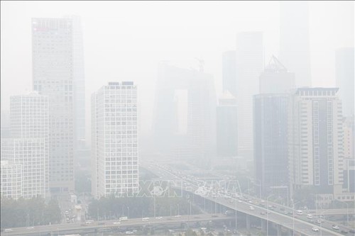 Erste globale Konferenz über Luftverschmutzung in der Schweiz eröffnet - ảnh 1