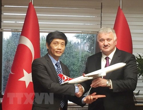 Investitionen der türkischen Unternehmen in Vietnam anzulocken - ảnh 1