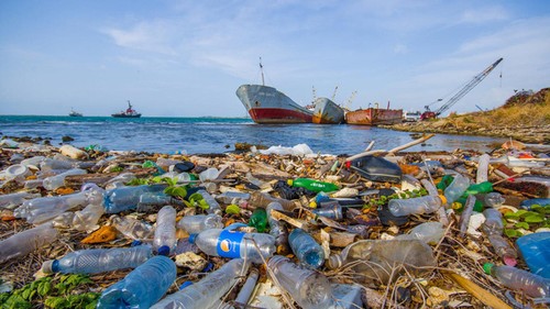 Untätig werden die Ozeane mehr Abfall als Fische enthalten - ảnh 1