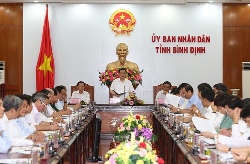 Vize-Premierminister Vuong Dinh Hue tagt mit Leitern der Provinz Binh Dinh - ảnh 1
