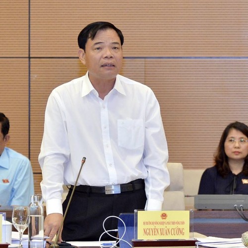Ständiger Parlamentsausschuss: Förderung der Entwicklung der vietnamesischen Meereswirtschaft - ảnh 1