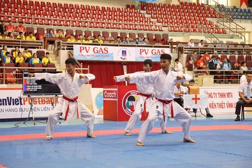Fast 300 Kämpfer nehmen an der 29. Karate-Nationalmeisterschaft teil - ảnh 1