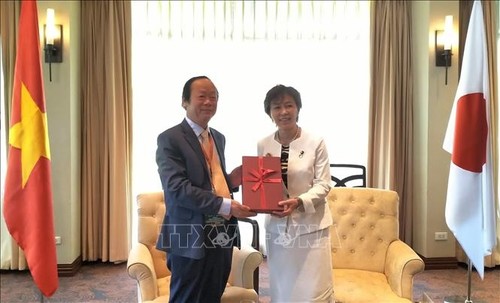 Japan unterstützt die vorrangigen Umweltfragen im ASEAN-Präsidentschaftsjahr Vietnams - ảnh 1