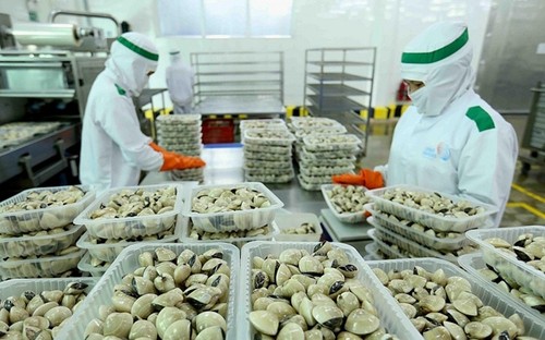 Vietnam exportiert zusätzlich drei neue Sorten von Meeresfrüchten nach China - ảnh 1