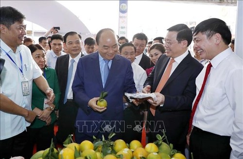 Premierminister Nguyen Xuan Phuc nimmt an der Eröffnung der Ausstellung über Neugestaltung ländlicher Räume teil - ảnh 1