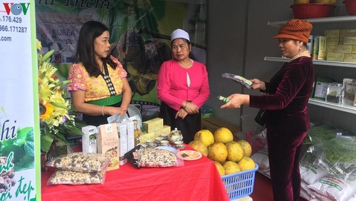 Woche der landwirtschaftlichen Produkte der Provinz Hoa Binh in Hanoi eröffnet - ảnh 1