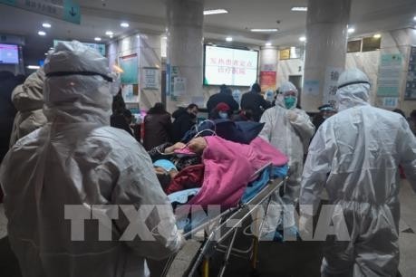 Anzahl der Infektionen und Todesopfer wegen Coronavirus im chinesischen Hubei steigt drastisch - ảnh 1