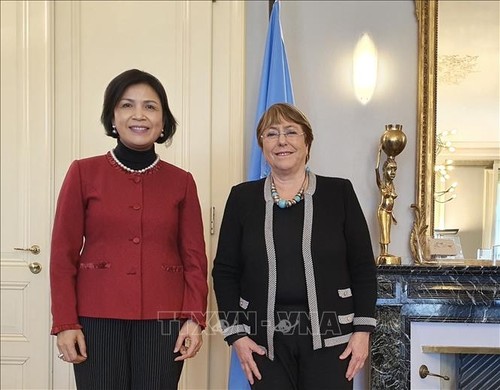UN-Kommissarin für Menschenrechte schätzt die Erfolge Vietnams in der Förderung und beim Schutz der Menschenrechte - ảnh 1