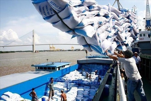 Zollbehörde öffnet System zur Registrierung von Ausfuhranmeldungen für Reismenge an Häfen - ảnh 1