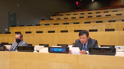 Vietnam und UN-Sicherheitsrat erörtern die politische Lage in Guinea-Bissau - ảnh 1