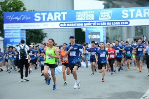 Internationaler Erbe-Marathonlauf Ha Long-Bucht - ảnh 1