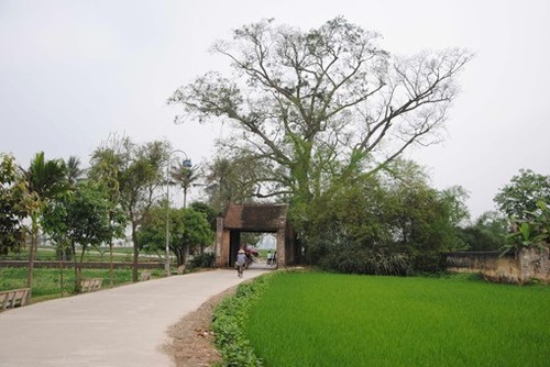 Feier zum 15. Jahrestag der Anerkennung des alten Dorfes Duong Lam als nationale Gedenkstätte - ảnh 1