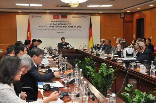 Zusammenarbeit zwischen Vietnam und Deutschland in vielen Industriezweigen - ảnh 1