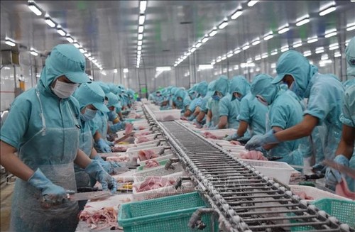Vietnams Meeresfrüchteexport wird sich stark erholen - ảnh 1