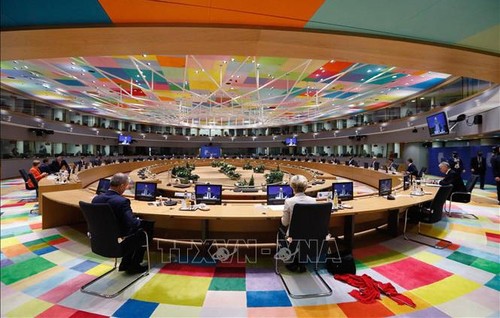 EU hält wegen der Covid-19-Pandemie virtuellen Gipfel ab - ảnh 1