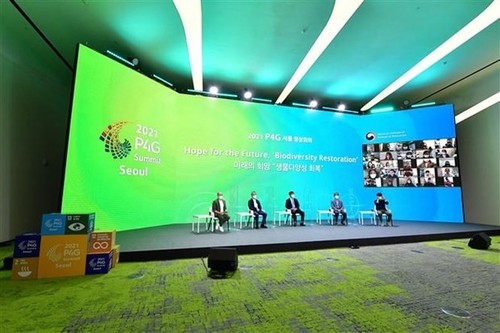 P4G-Gipfel: Entwicklung von intelligenten Städten hilft, Emissionen zu reduzieren - ảnh 1