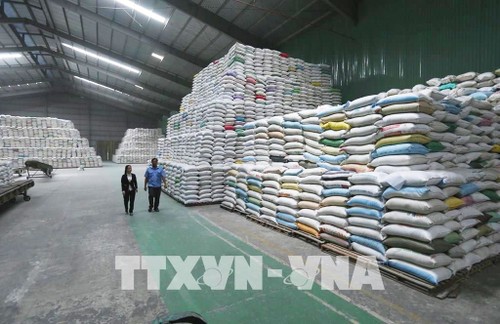Exportvolumen Vietnams steigt um 25,5 Prozent in den ersten sieben Monaten des Jahres - ảnh 1