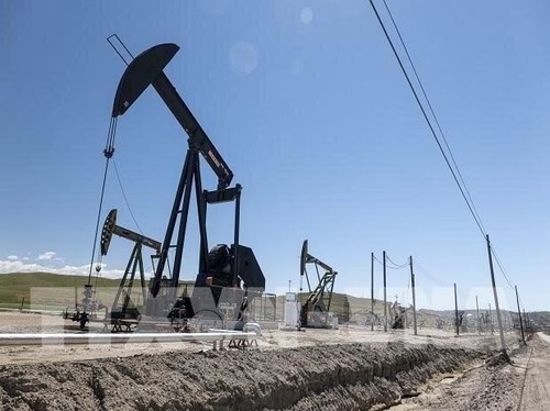 IEA erhöht Prognose für die weltweite Ölnachfrage im Jahr 2022 - ảnh 1