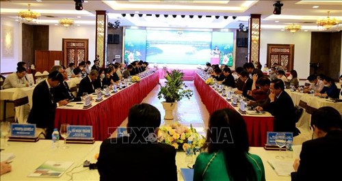 Provinz Gia Lai wirbt für ihre Potenziale und Stärken bei ausländischen Partnern - ảnh 1