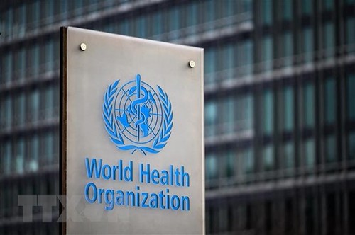 Die WHO verstärkt die Reaktion auf medizinische Notfälle - ảnh 1