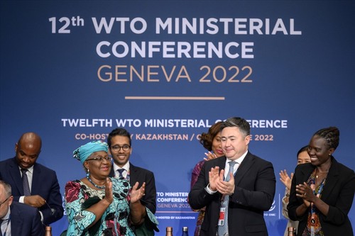 WTO beschließt beispielloses Abkommenspaket: die Rolle der multilateralen Handelsorganisation bekräftigen - ảnh 1