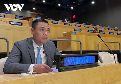 Vietnam nimmt an der Sitzung UN-Wirtschafts- und Sozialrats zu humanitären Fragen teil - ảnh 1