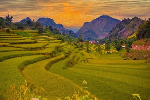 Die Schönheit des Kreises Tua Chua in der Provinz Dien Bien - ảnh 12