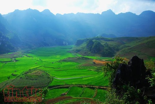 Die Schönheit des Kreises Tua Chua in der Provinz Dien Bien - ảnh 7