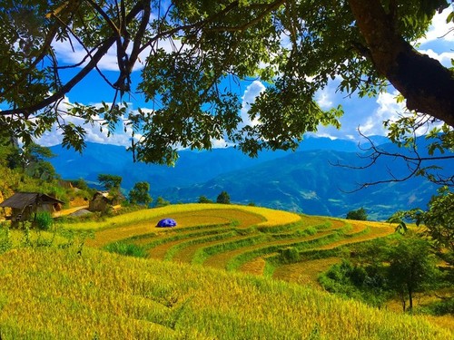 Die Schönheit des Kreises Tua Chua in der Provinz Dien Bien - ảnh 9