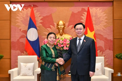 Die Beziehung zwischen den Parlamenten Vietnams und Laos zu einem Modell der parlamentarischen Zusammenarbeit entwickeln - ảnh 1