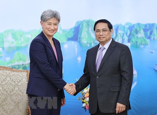 Australien setzt die Strategie zur Stärkung der wirtschaftlichen Zusammenarbeit mit Vietnam um - ảnh 1