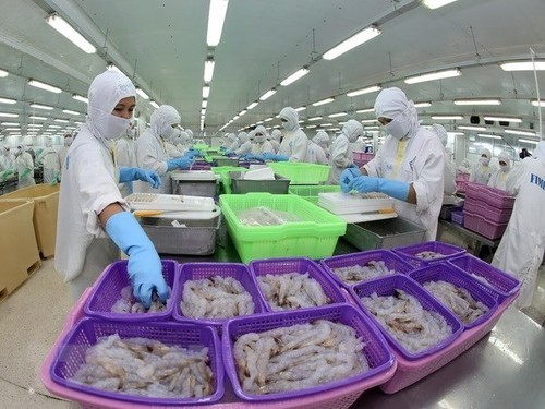 Vietnam verstärken die Zusammenarbeit im Fischereisektor mit Indien - ảnh 1