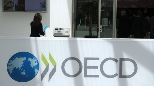 Die OECD senkt ihre Prognose für das globale Wirtschaftswachstum im Jahr 2023 - ảnh 1