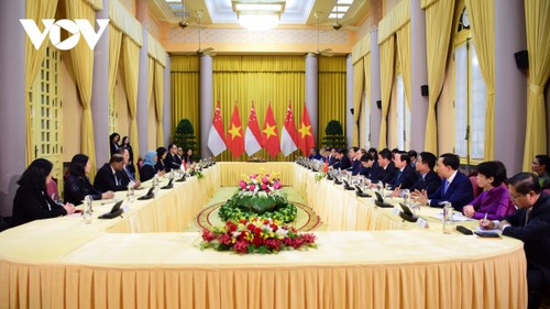 Aufbau der digitalen und grünen Wirtschaftspartnerschaft zwischen Vietnam und Singapur - ảnh 1