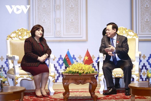 Parlamentspräsident Vuong Dinh Hue trifft sich mit Parlamentschefs der Länder - ảnh 1